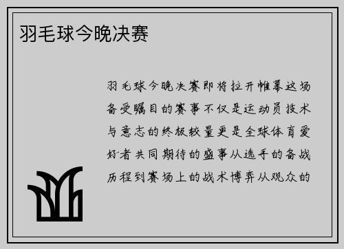 羽毛球今晚决赛